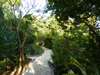Fundu Lagoon - Walk 